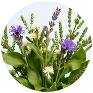 Nyugtató, gyógynövényes, levendulás illatok