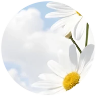 Wellness és friss tavaszi illatok