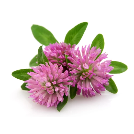 Herbsgarden Well aging esszencia 45+, feszesítő, bőrfiatalító száraz, víz és zsírhiányos bőrre 15ml