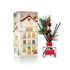 Kép 1/4 - Cocodor Fenyőlevél pálcás aroma diffúzor - Fenyő és Cédrusfa illattal (Cocodor Pine Leaves Diffuser in Pine & Cedarwood) 200ML