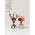 Kép 2/3 - Cocodor Pálcás Kamélia Aroma Diffúzor – Fekete Cseresznye illattal (Cocodor Camelia Diffuser Black Cherry Fragrance) 200ML