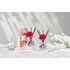 Kép 5/7 - Cocodor Pálcás Szegfű Aroma Diffúzor – Lágy, púderes illattal (Cocodor Carnation Diffuser White Musk Scent) 120ML