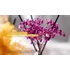 Kép 6/8 - Cocodor Pálcás Virágos Aroma Diffúzor – Kerti levendula illattal (Cocodor Flower Diffuser Garden Lavender Scent) 200ML